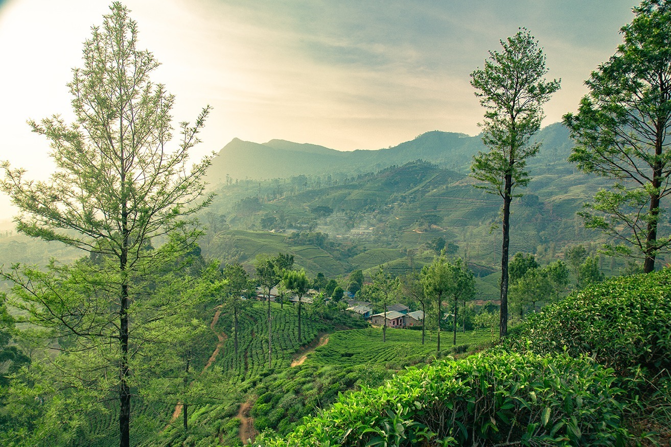 Nuwara Eliya