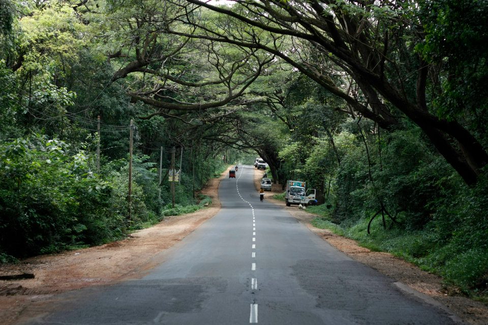 sri lanka road 1331287